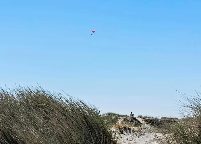 411-hvide-sande-tingodden-59 *